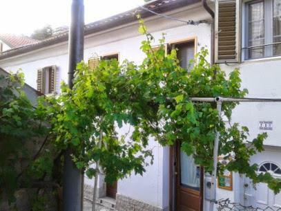 B&B Al Ferdinandeo Trieste Exterior foto